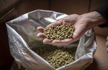 Brewery tour in Tenerife with 4 tastings