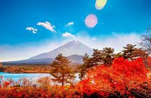Fuji Lake Kawaguchi, Lake Yamanaka and Lake Sai Day Trip from Tokyo