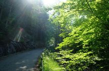 Small-group tour of Bergen with hiking and local history