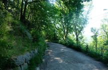 Small-group tour of Bergen with hiking and local history