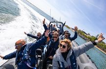 Porto's six bridges speedboat tour along the Douro River
