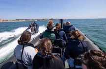 Porto's six bridges speedboat tour along the Douro River