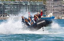 Porto's six bridges speedboat tour along the Douro River
