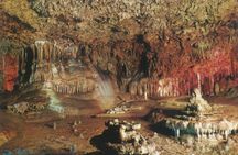 Dinosaurland and Caves of Hams combined ticket