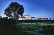 Gastronomic wine tasting in Mertola
