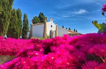 Gastronomic wine tasting in Mertola