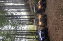Private buggy off-road driving experience in Madeira