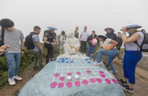 Pagodas, peaks, and cooperation adventure in Da Nang