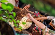 Cape town coffee experience tour with a local guide