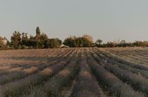 Lavender soap-making workshop in Aix-en-Provence