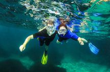 Small group guided snorkelling tour in the Bay of Pollenca