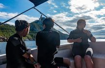 Small group guided snorkelling tour in the Bay of Pollenca
