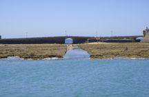 Trimilenaria catamaran experience in Cadiz