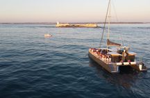 Playa de la Barrosa and Novo Sancti Petri by catamaran