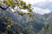 Pico do Arieiro 4-Hour Private Excursion