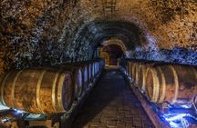 Full-day La Rioja wineries tour from Bilbao