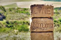 Full-day La Rioja wineries tour from Bilbao