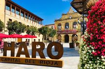 Full-day La Rioja wineries tour from Bilbao