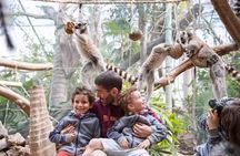 Oasis Park Fuerteventura entrance with lemur experience