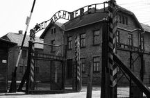 Auschwitz-Birkenau and Wieliczka Salt Mine from Krakow with lunch