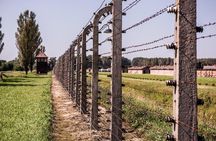 Auschwitz-Birkenau and Wieliczka Salt Mine from Krakow with lunch