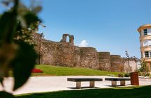 Lugo's Roman Wall and Cathedral guided tour with entry tickets