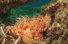 Scuba programme first-time diving experience in the Bay of Pollenca