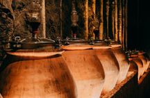 Amarone wine trail tour from Verona