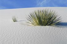 Self-Guided Audio Driving Tour of White Sand National Park