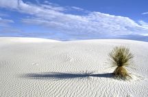 Self-Guided Audio Driving Tour of White Sand National Park