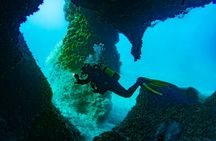 SSI basic diver course for aspiring certified divers