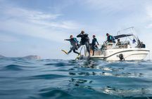 SSI basic diver course for aspiring certified divers