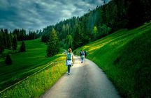 Swiss Alps cheese farm tour with cheese-making workshop