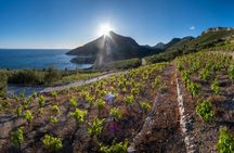 Wine tasting tour in Pelješac Peninsula and Ston visit