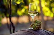 Wine tasting tour in Pelješac Peninsula and Ston visit