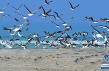 East and West Salalah private tour