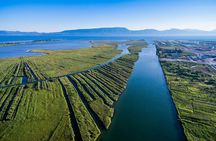 One-day windsurfing adventure in Neretva Delta