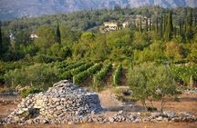 Konavle and Falcon Fortress half-day tour with lunch
