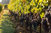 Half-day tour to Trebinje and Tvrdos Monastery with wine tasting
