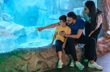 Barcelona city tour hop-on hop-off bus tickets with Aquarium