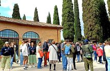 Rome Appian Way and catacombs tour by electric golf cart