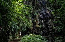 Transfer to Levada do Caldeirão Verde with Pick-Up