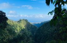 Transfer to Levada do Caldeirão Verde with Pick-Up