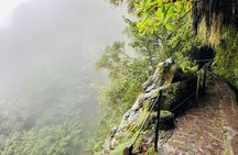 Transfer to Levada do Caldeirão Verde with Pick-Up