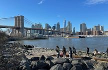Walking tour of DUMBO with cultural insights and food tasting