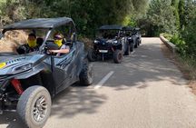 Buggy tour in the south of Mallorca's with off-road experience
