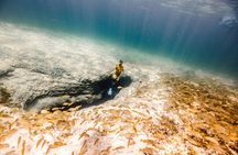 Cancun snorkelling tour with turtles, reefs, shipwreck and more