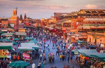 Day trip to Marrakesh from Agadir or Taghazout
