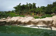 Goat Tree and Crocodile Park adventure, unique experience in Agadir
