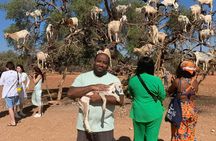 Goat Tree and Crocodile Park adventure, unique experience in Agadir